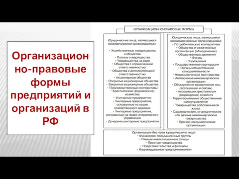 Организационно-правовые формы предприятий и организаций в РФ