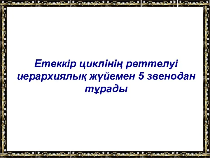 Етеккір циклінің реттелуі иерархиялық жүйемен 5 звенодан тұрады