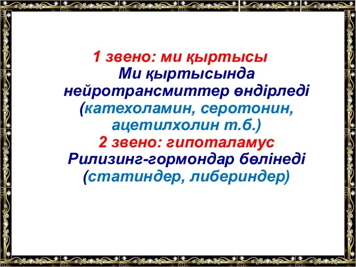 1 звено: ми қыртысы Ми қыртысында нейротрансмиттер өндірледі (катехоламин, серотонин,