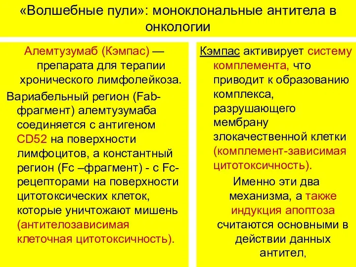 «Волшебные пули»: моноклональные антитела в онкологии Алемтузумаб (Кэмпас) — препарата