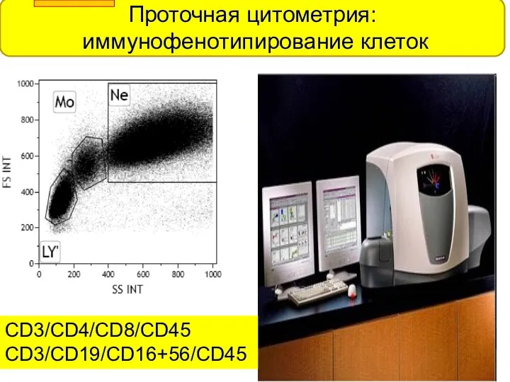 Проточная цитометрия: иммунофенотипирование клеток CD3/CD4/CD8/CD45 CD3/CD19/CD16+56/CD45