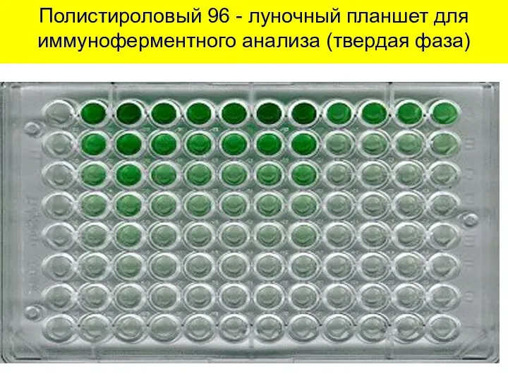 Полистироловый 96 - луночный планшет для иммуноферментного анализа (твердая фаза)