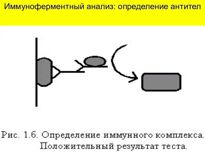 Иммуноферментный анализ: определение антител