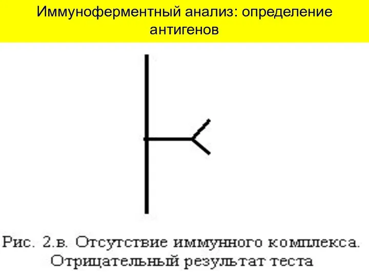 Иммуноферментный анализ: определение антигенов