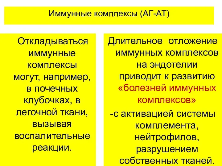 Иммунные комплексы (АГ-АТ) Откладываться иммунные комплексы могут, например, в почечных