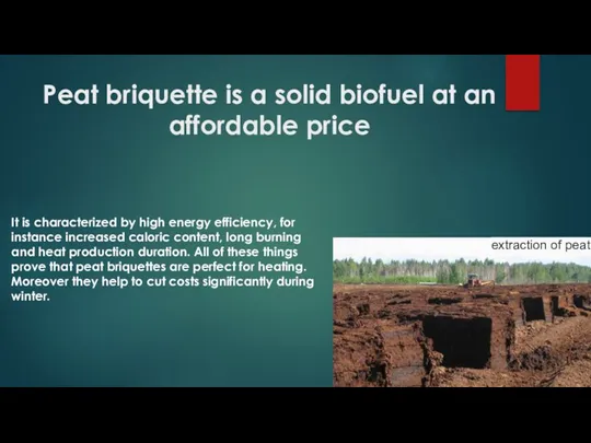 Peat briquette is a solid biofuel at an affordable price It is characterized