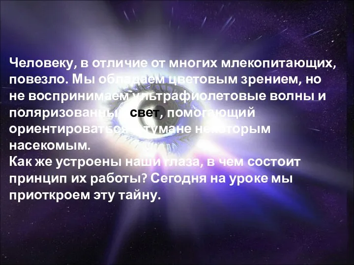 Человеку, в отличие от многих млекопитающих, повезло. Мы обладаем цветовым