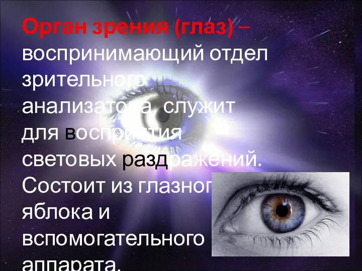 Орган зрения (глаз) –воспринимающий отдел зрительного анализатора, служит для восприятия