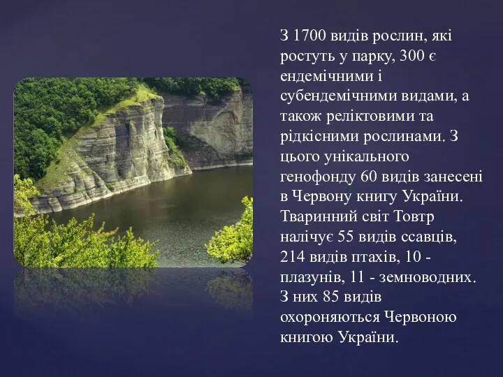 З 1700 видів рослин, які ростуть у парку, 300 є