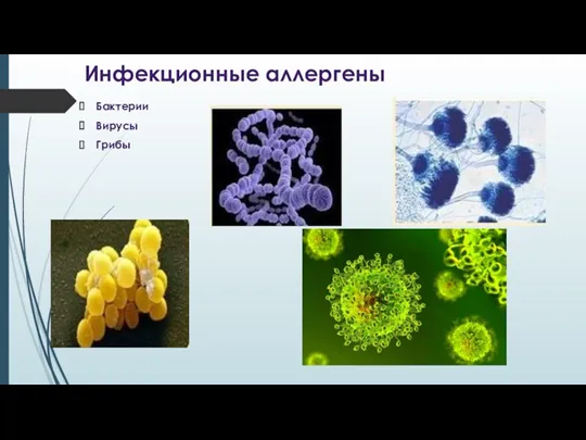 Инфекционные аллергены Бактерии Вирусы Грибы