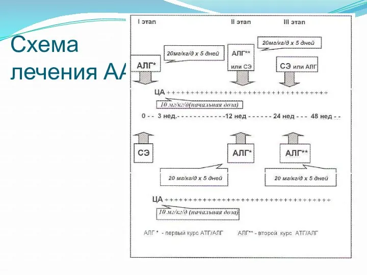 Схема лечения АА