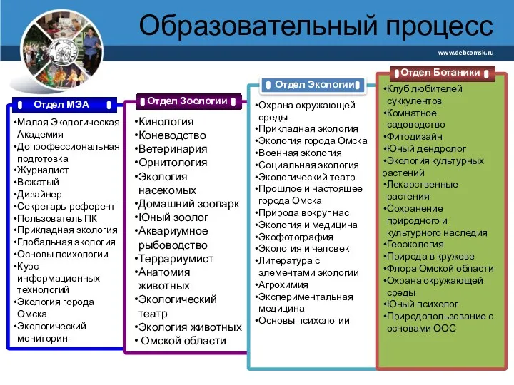 Образовательный процесс www.debcomsk.ru