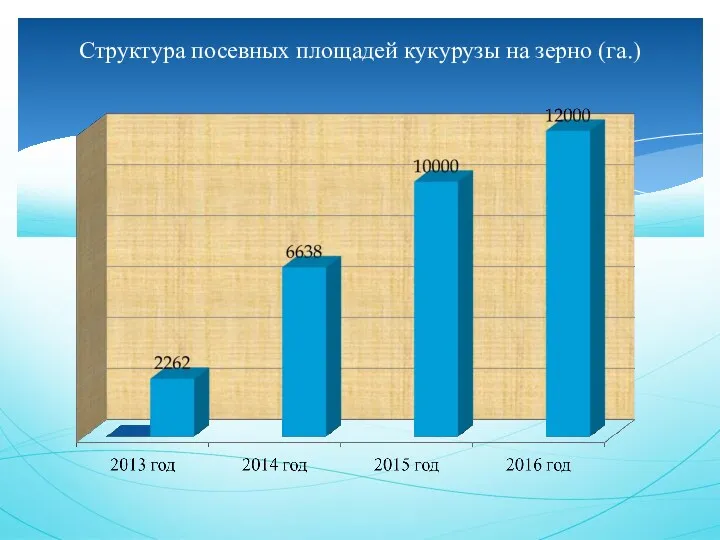 Структура посевных площадей кукурузы на зерно (га.)