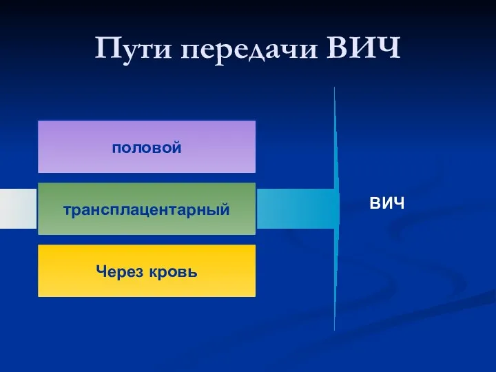 Пути передачи ВИЧ половой трансплацентарный Через кровь ВИЧ