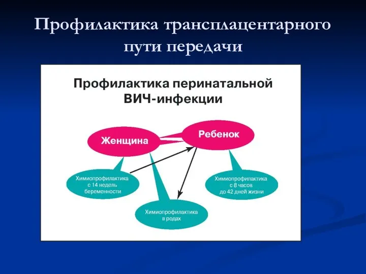 Профилактика трансплацентарного пути передачи