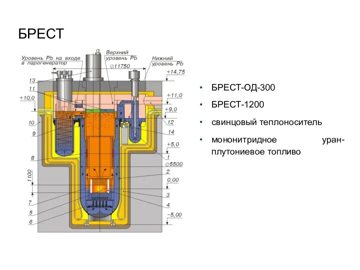 БРЕСТ БРЕСТ-ОД-300 БРЕСТ-1200 свинцовый теплоноситель мононитридное уран-плутониевое топливо