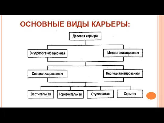 ОСНОВНЫЕ ВИДЫ КАРЬЕРЫ: