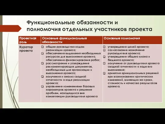 Функциональные обязанности и полномочия отдельных участников проекта