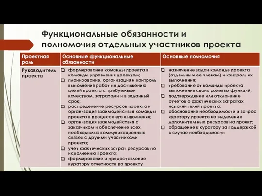 Функциональные обязанности и полномочия отдельных участников проекта