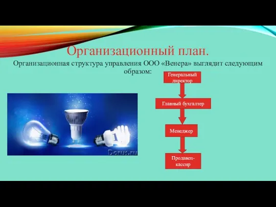 Организационный план. Организационная структура управления ООО «Венера» выглядит следующим образом: