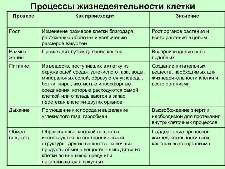 Процессы жизнедеятельности клетки