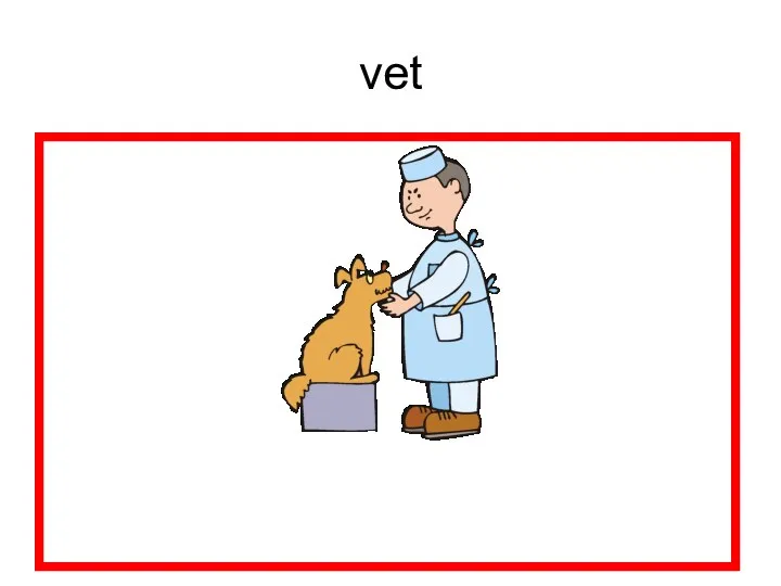 vet