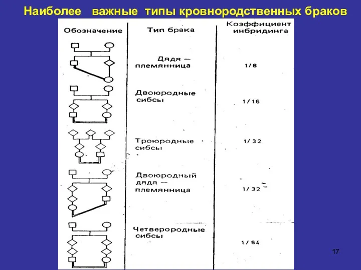 Наиболее важные типы кровнородственных браков