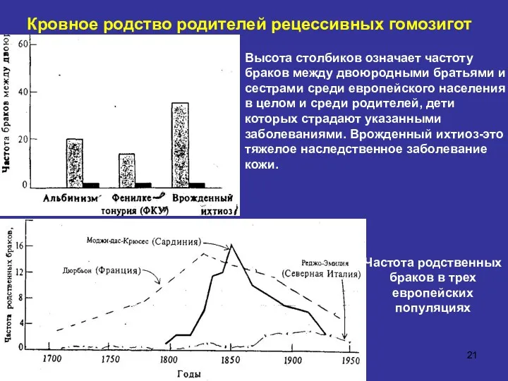 Кровное родство родителей рецессивных гомозигот Высота столбиков означает частоту браков