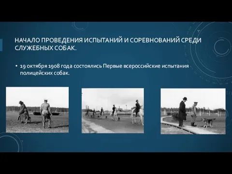 НАЧАЛО ПРОВЕДЕНИЯ ИСПЫТАНИЙ И СОРЕВНОВАНИЙ СРЕДИ СЛУЖЕБНЫХ СОБАК. 19 октября