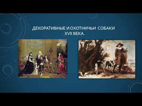 ДЕКОРАТИВНЫЕ И ОХОТНИЧЬИ СОБАКИ XVII ВЕКА.