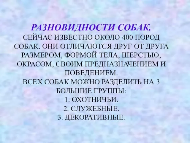 РАЗНОВИДНОСТИ СОБАК. СЕЙЧАС ИЗВЕСТНО ОКОЛО 400 ПОРОД СОБАК. ОНИ ОТЛИЧАЮТСЯ