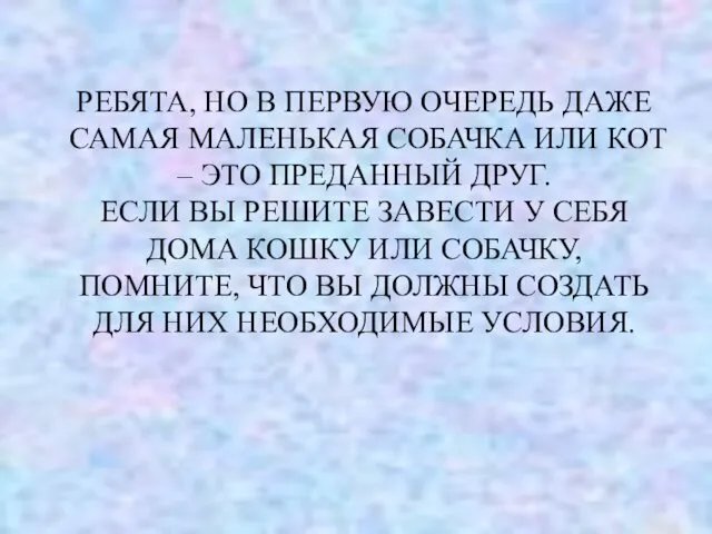 РЕБЯТА, НО В ПЕРВУЮ ОЧЕРЕДЬ ДАЖЕ САМАЯ МАЛЕНЬКАЯ СОБАЧКА ИЛИ