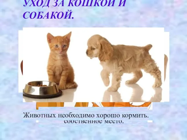 УХОД ЗА КОШКОЙ И СОБАКОЙ. У кошки и собаки должно