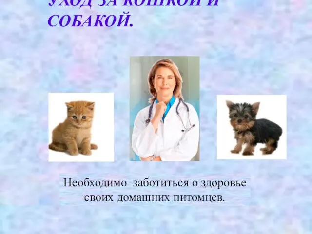 УХОД ЗА КОШКОЙ И СОБАКОЙ. Необходимо заботиться о здоровье своих домашних питомцев.