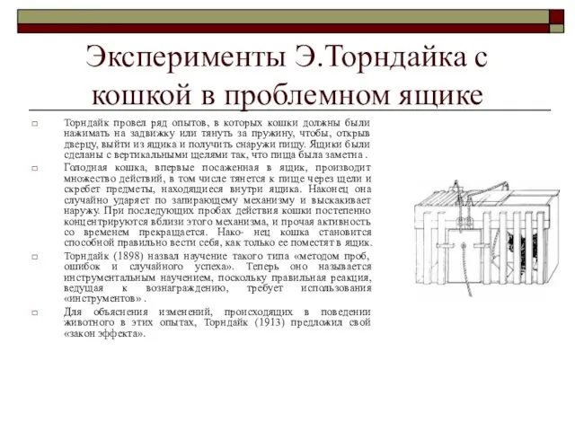 Эксперименты Э.Торндайка с кошкой в проблемном ящике Торндайк провел ряд