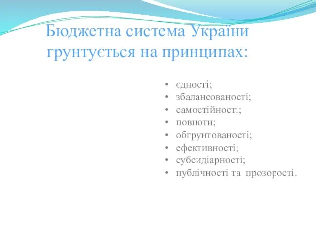Бюджетна система України грунтується на принципах: єдності; збалансованості; самостійності; повноти; обгрунтованості; ефективності; субсидіарності; публічності та прозорості.