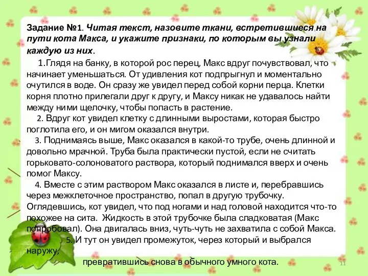 Задание №1. Читая текст, назовите ткани, встретившиеся на пути кота