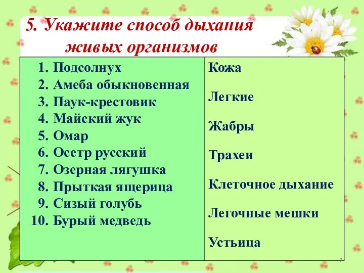 5. Укажите способ дыхания живых организмов