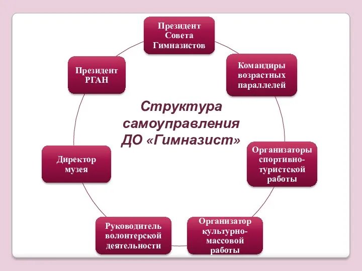 Структура самоуправления ДО «Гимназист»