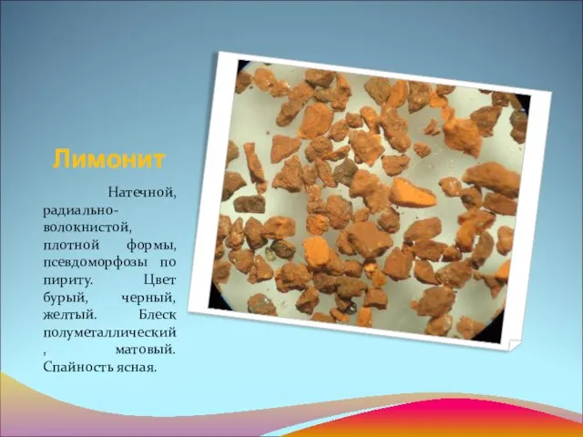 Лимонит Натечной, радиально-волокнистой, плотной формы, псевдоморфозы по пириту. Цвет бурый,