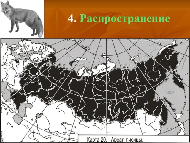 4. Распространение