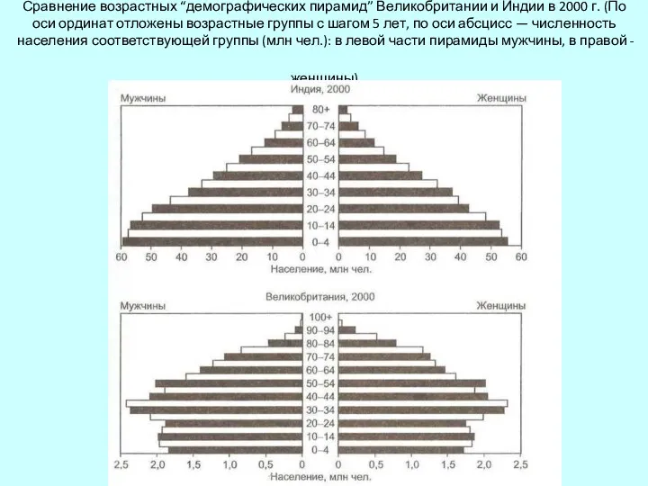 Сравнение возрастных “демографических пирамид” Великобритании и Индии в 2000 г.