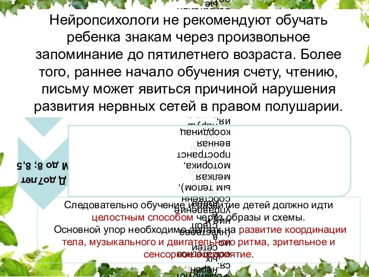 Основные этапы развития головного мозга Следовательно обучение и развитие детей