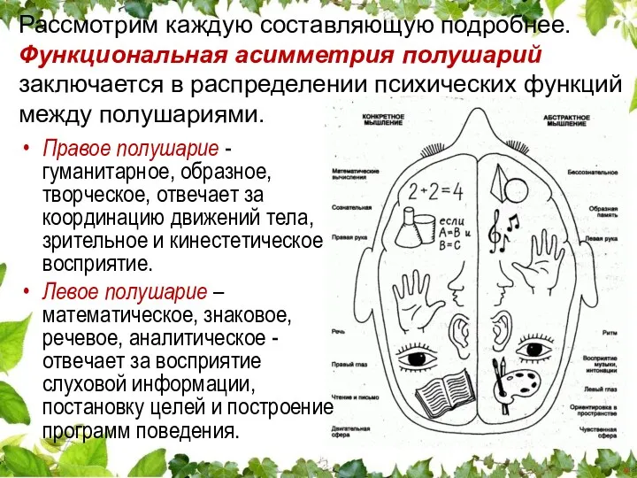 Правое полушарие - гуманитарное, образное, творческое, отвечает за координацию движений