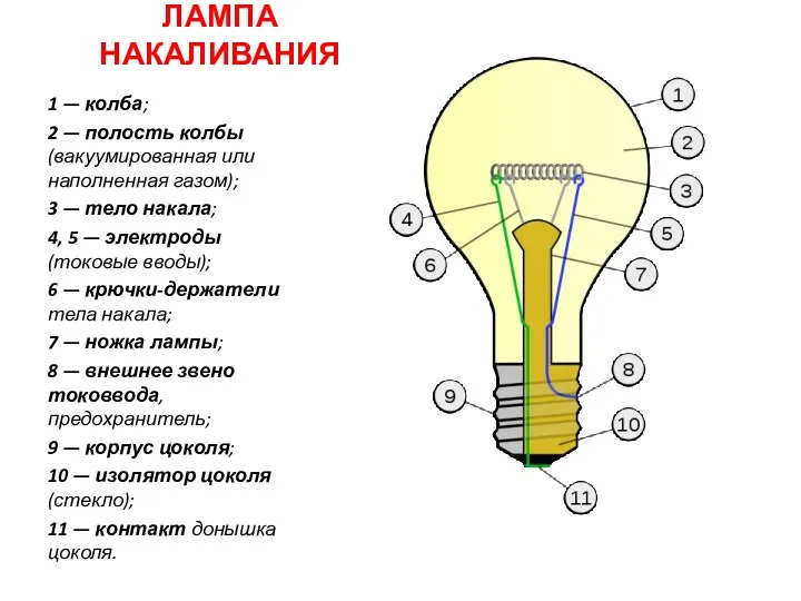 ЛАМПА НАКАЛИВАНИЯ 1 — колба; 2 — полость колбы (вакуумированная или наполненная газом);