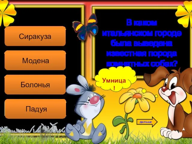 Умница! дальше Сиракуза Модена Болонья Падуя В каком итальянском городе была выведена известная порода комнатных собак?