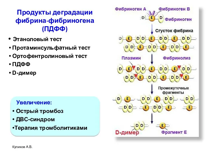 Продукты деградации фибрина-фибриногена (ПДФФ) Куликов А.В. Этаноловый тест Протаминсульфатный тест