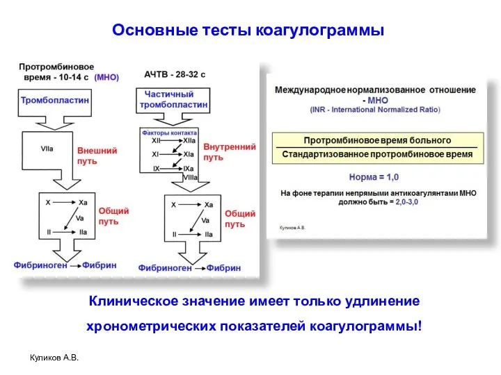 Основные тесты коагулограммы Куликов А.В. Клиническое значение имеет только удлинение хронометрических показателей коагулограммы!