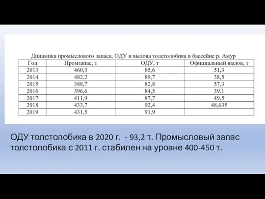 ОДУ толстолобика в 2020 г. - 93,2 т. Промысловый запас