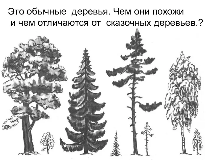 Это обычные деревья. Чем они похожи и чем отличаются от сказочных деревьев.?